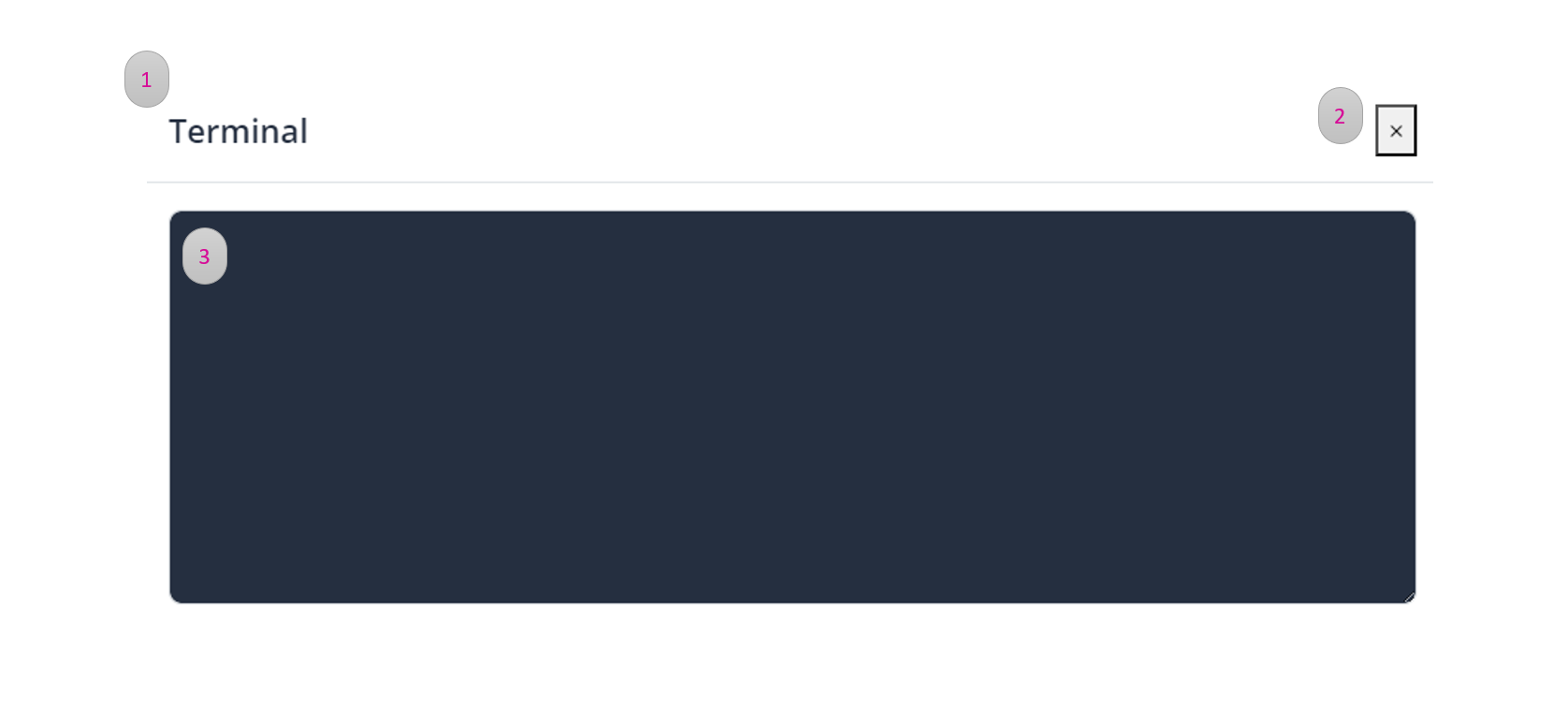 Debug terminal