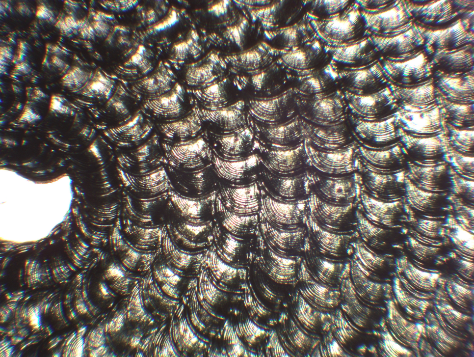 Welding pattern